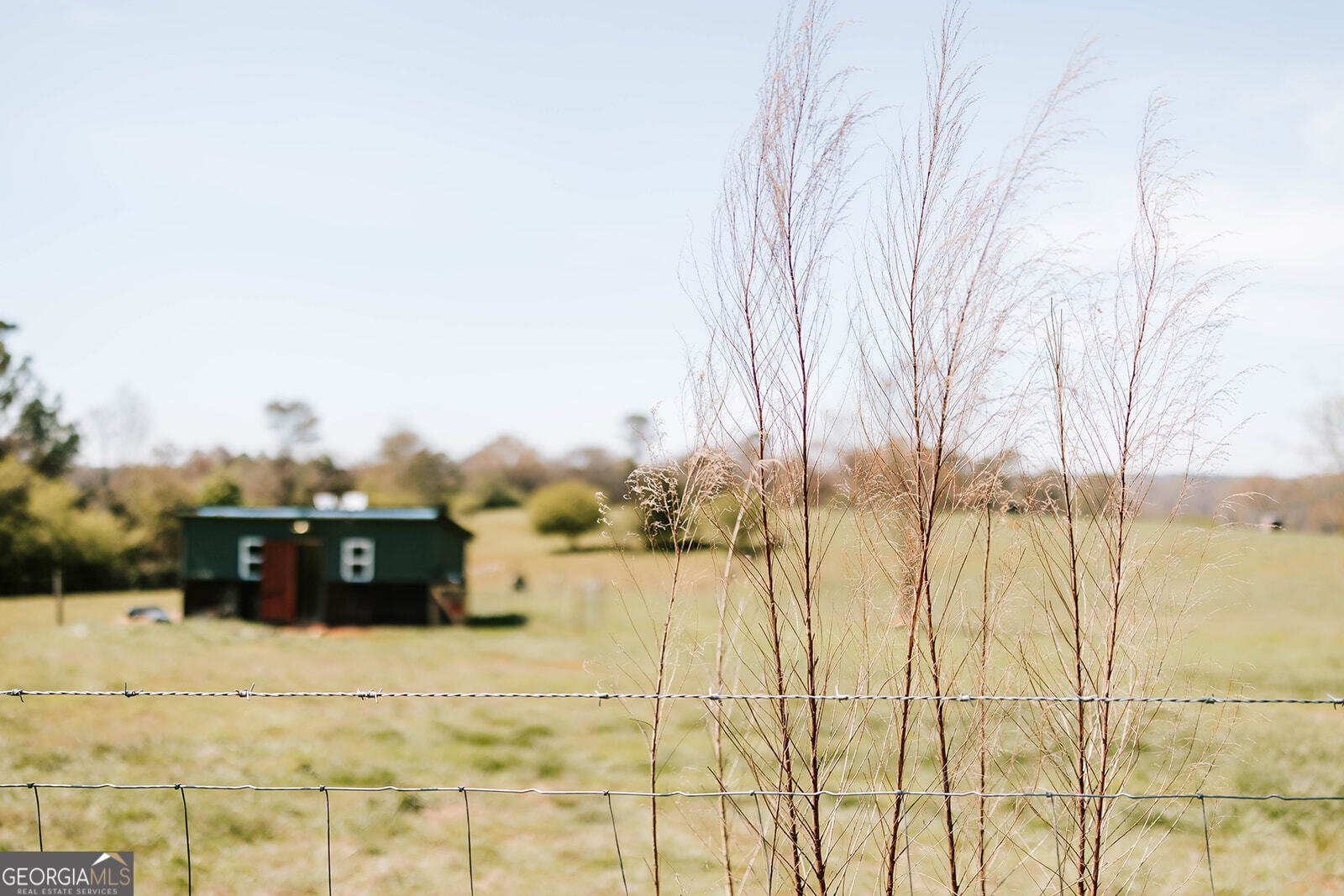 9048 Highway 334 Nicholson - Photo 49