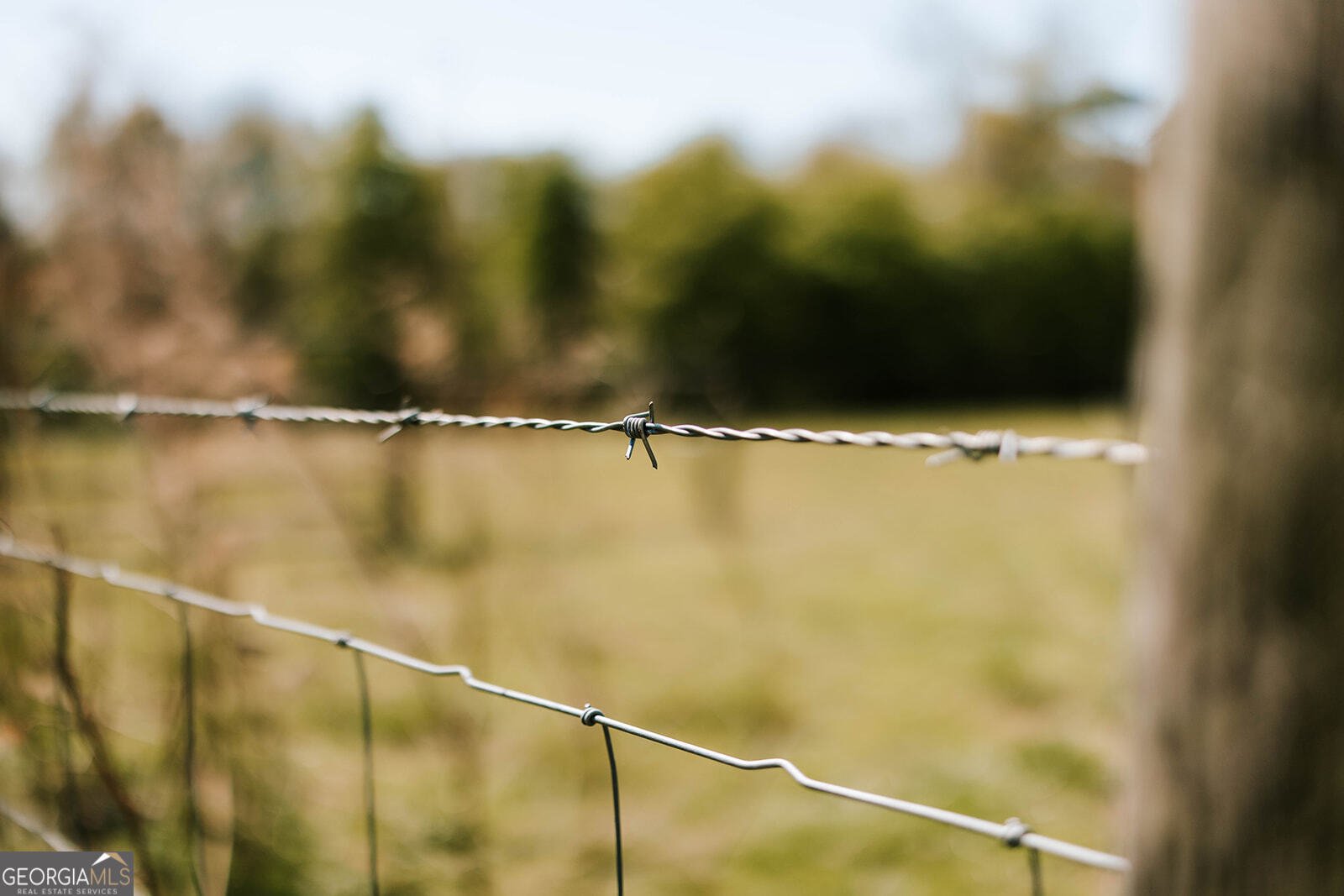 9048 Highway 334 Nicholson - Photo 51