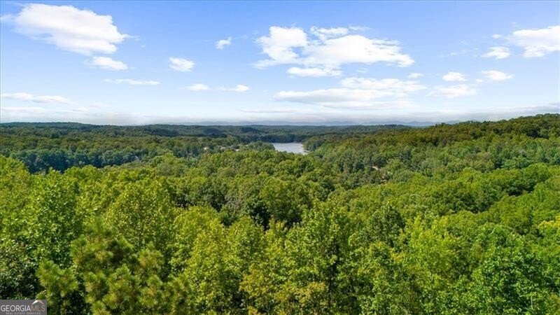 5739 Ridgewater Circle Gainesville - Photo 86