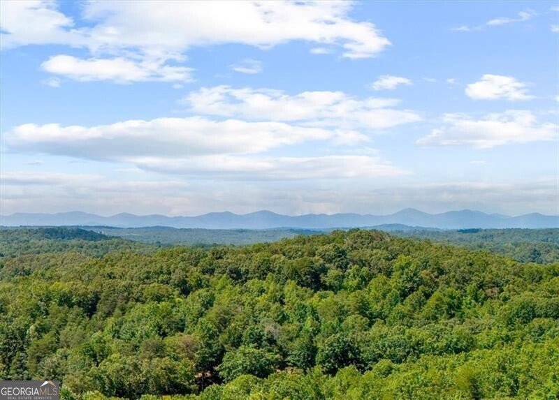 5739 Ridgewater Circle Gainesville - Photo 90