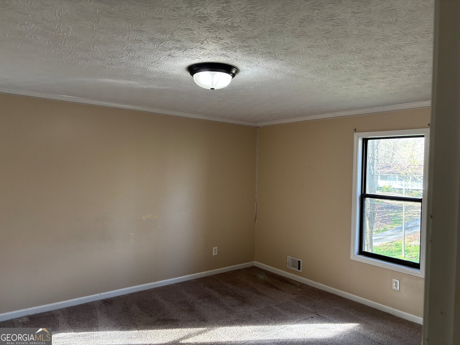 136 Creekview Drive Woodstock - Photo 9