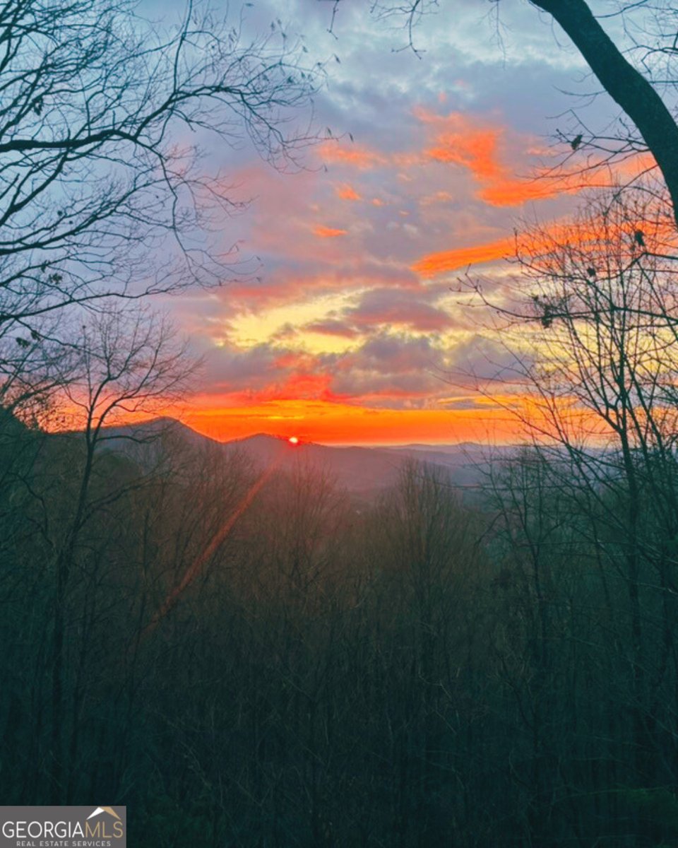 271 Limelight Drive Clayton - Photo 11