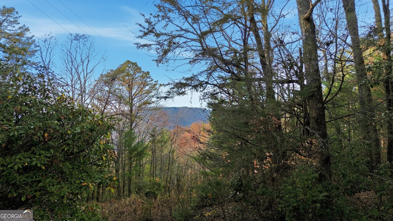 271 Limelight Drive Clayton - Photo 25