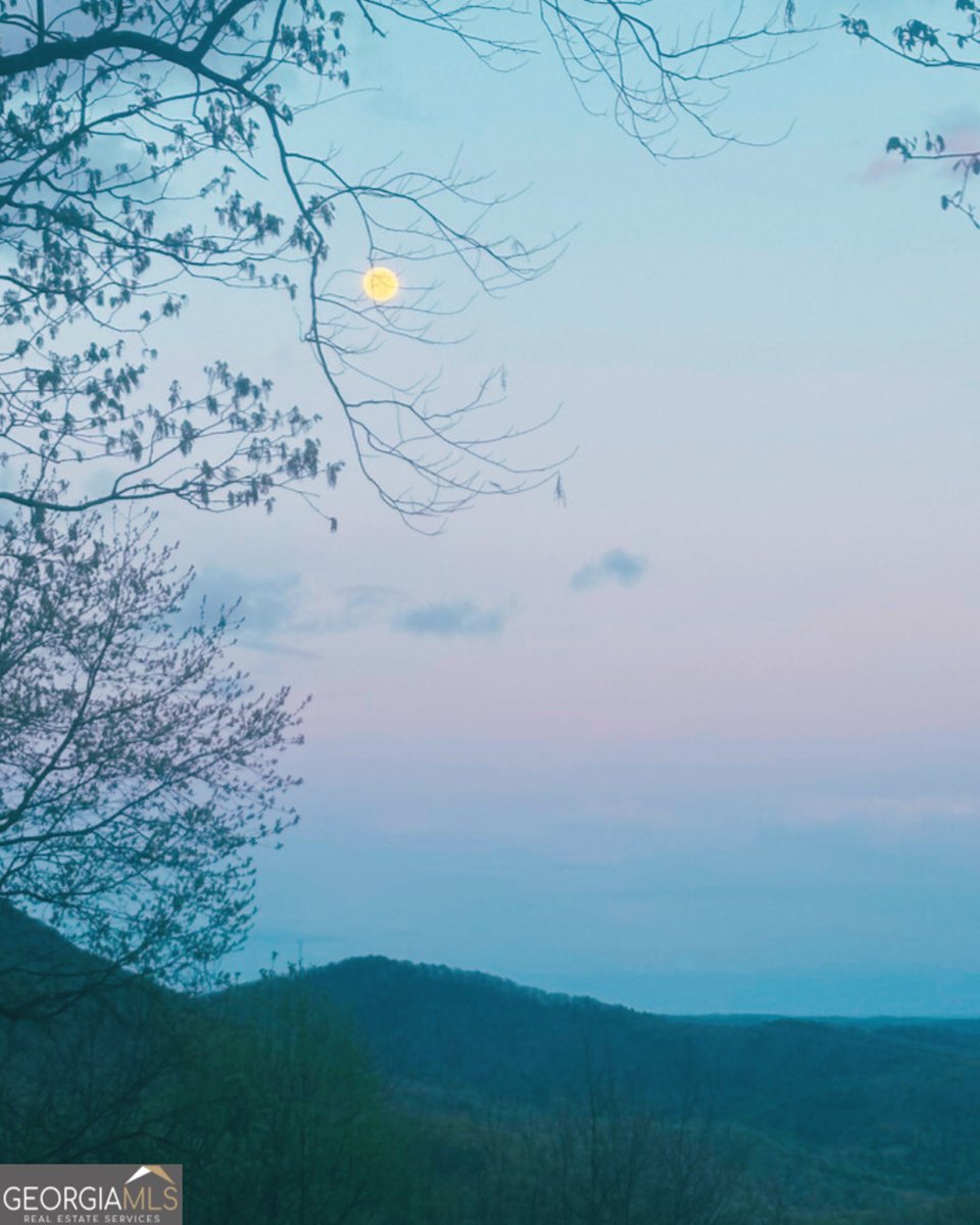 271 Limelight Drive Clayton - Photo 27