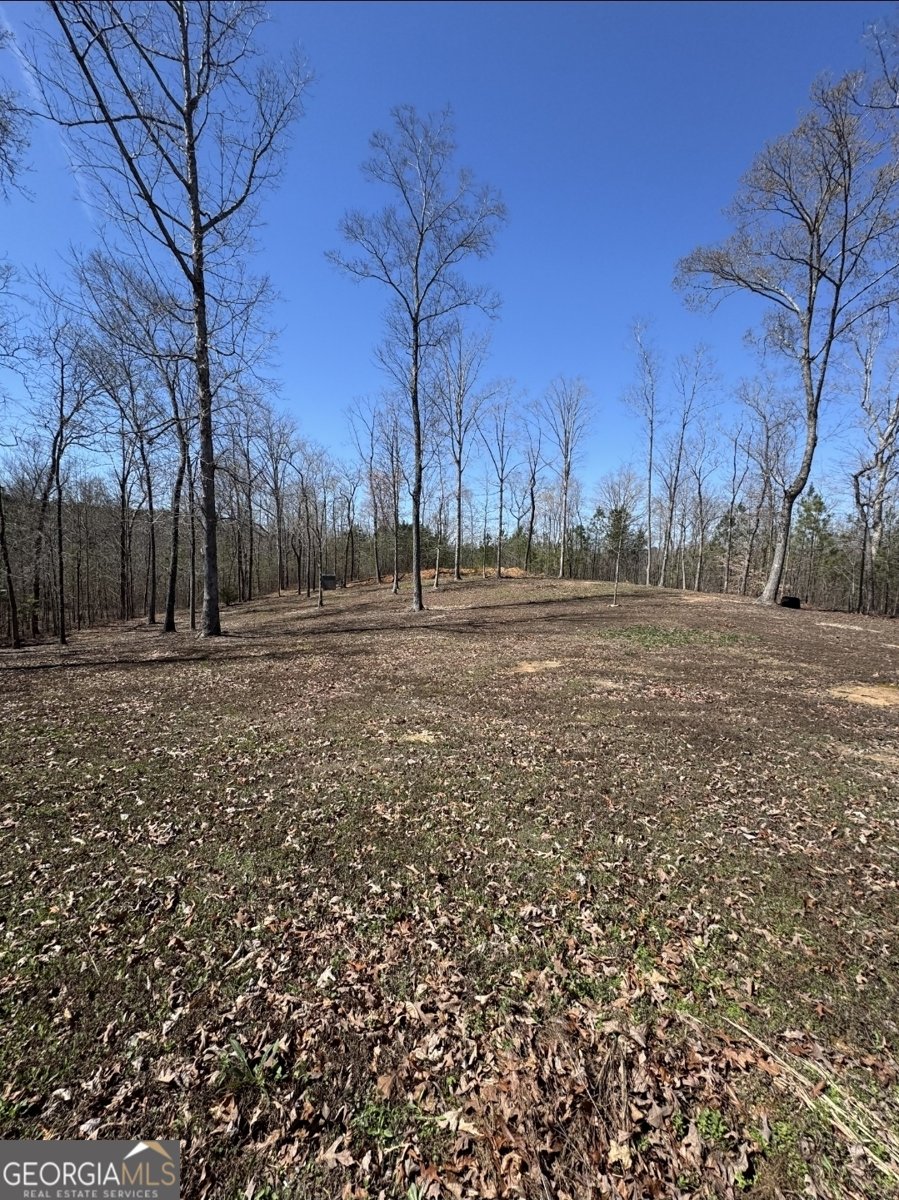 7022 Ga Highway 100 Buchanan - Photo 42