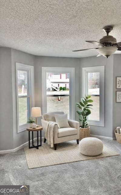 195 Amber Trace Dallas - Photo 27