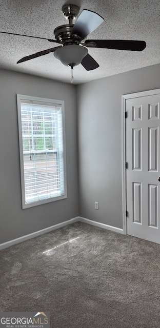 195 Amber Trace Dallas - Photo 28