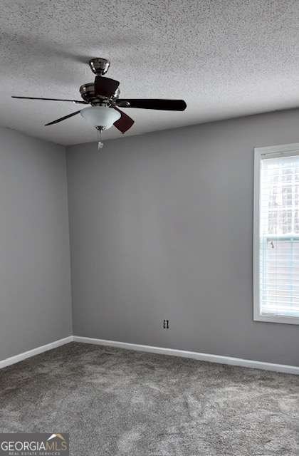 195 Amber Trace Dallas - Photo 29