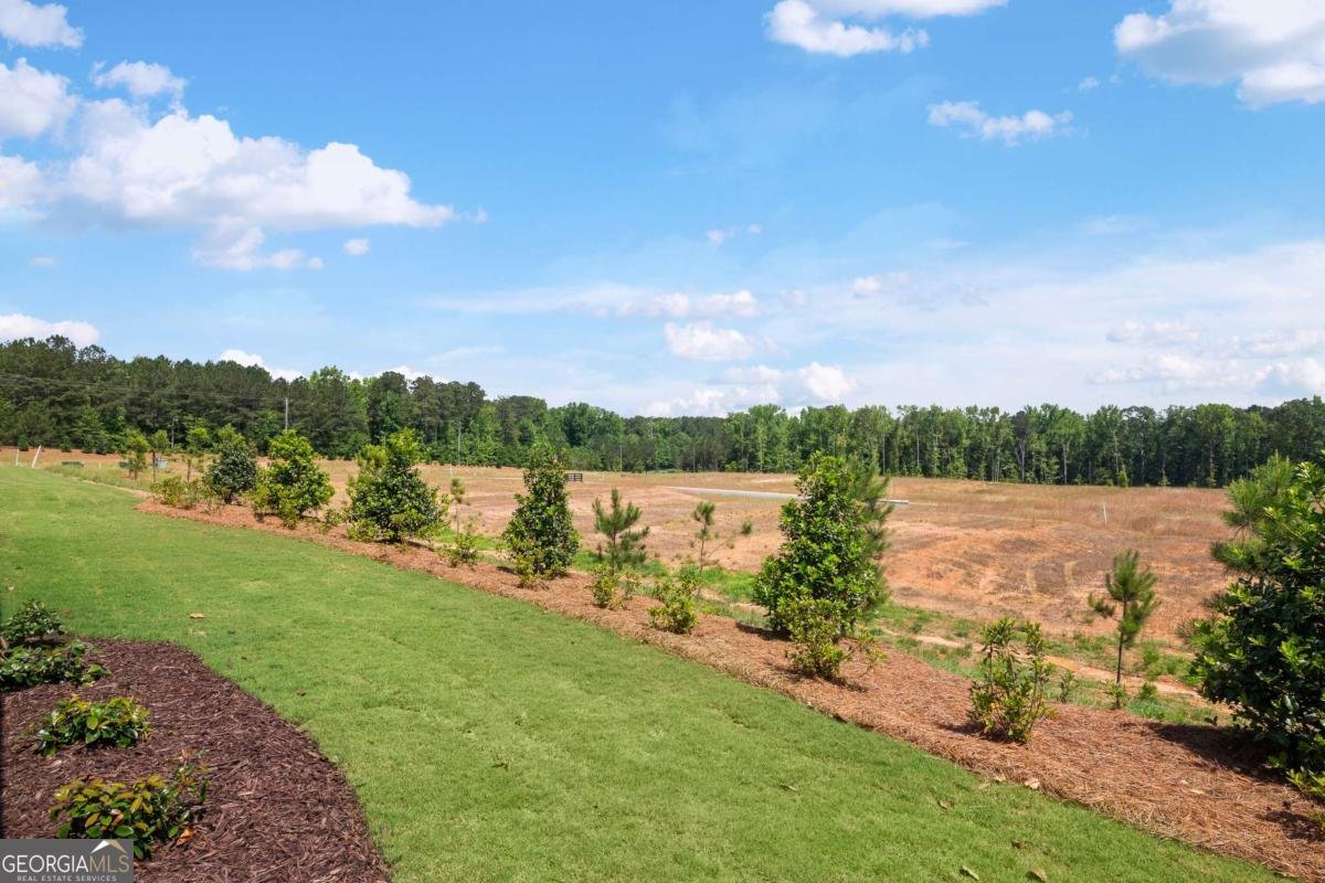 134 Kenney Way Locust Grove - Photo 34