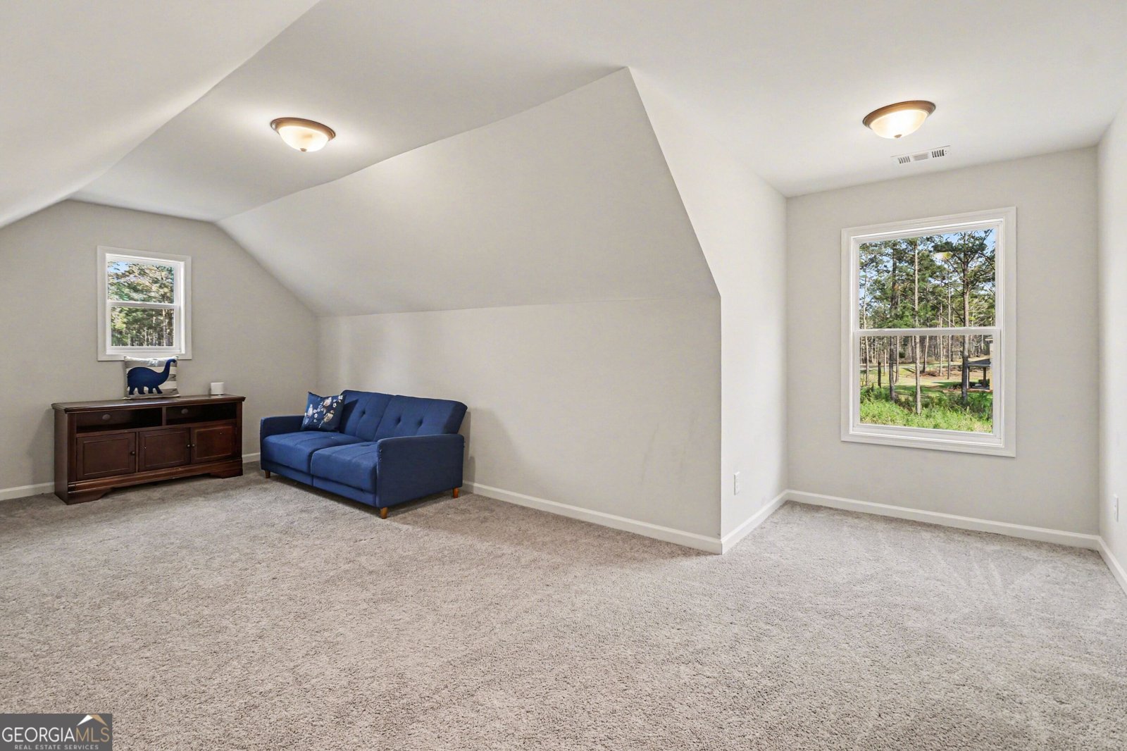 100 Dove Creek Court Lagrange - Photo 21