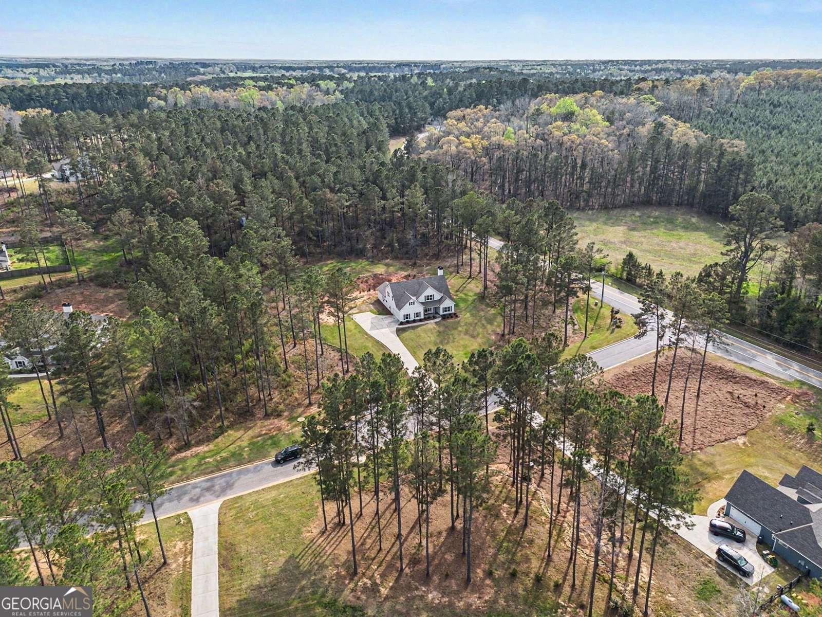 100 Dove Creek Court Lagrange - Photo 33