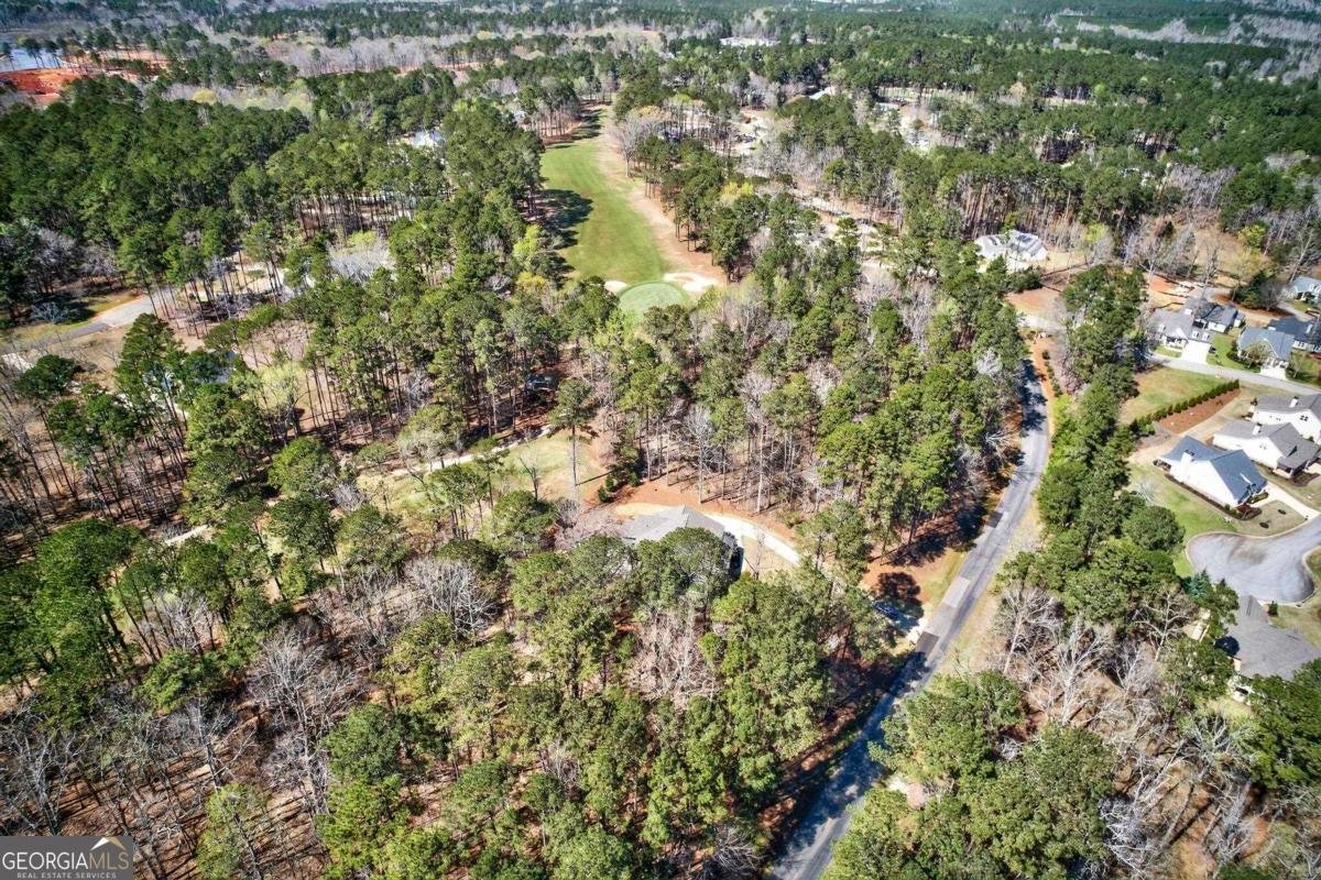 1851 Osprey Poynte Greensboro - Photo 69