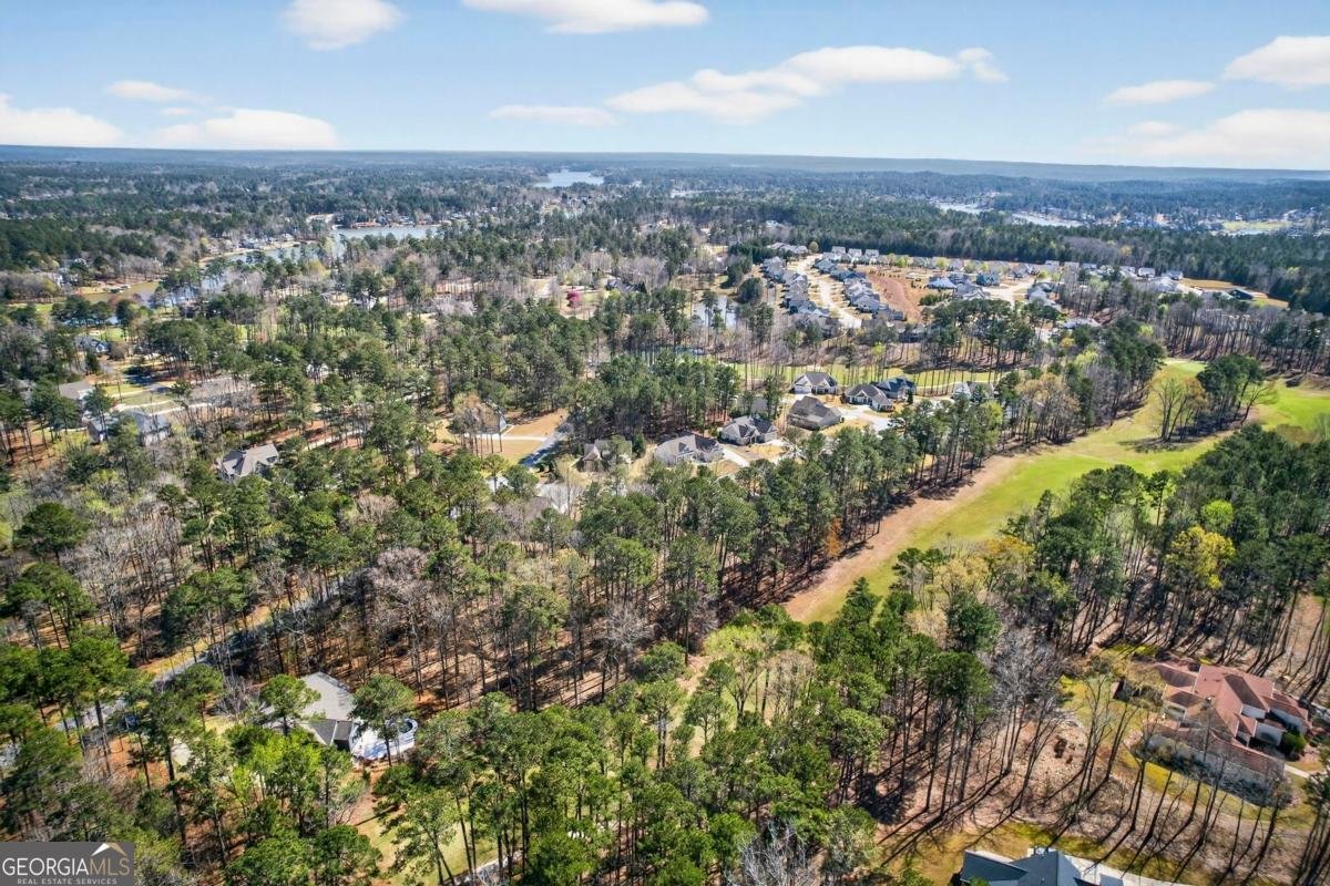 1851 Osprey Poynte Greensboro - Photo 72