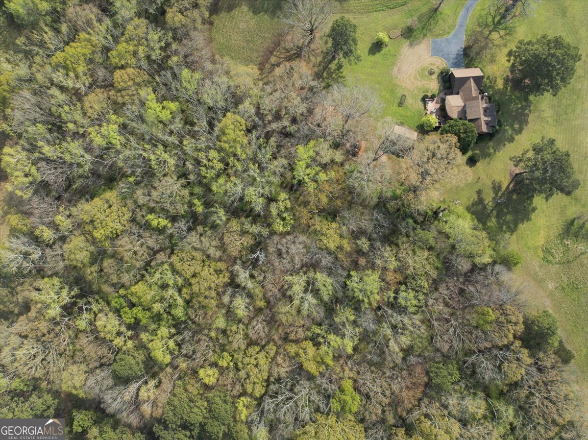 1150 Harris Hollis Lane Rutledge - Photo 42