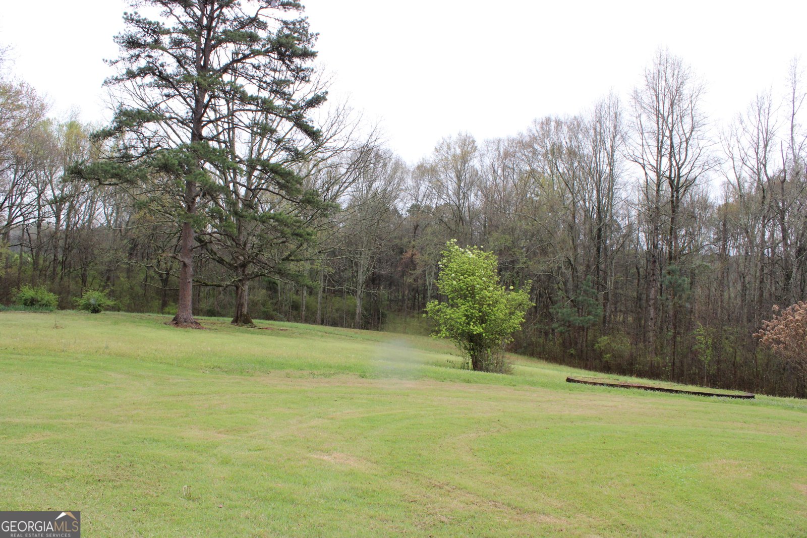 1150 Harris Hollis Lane Rutledge - Photo 6