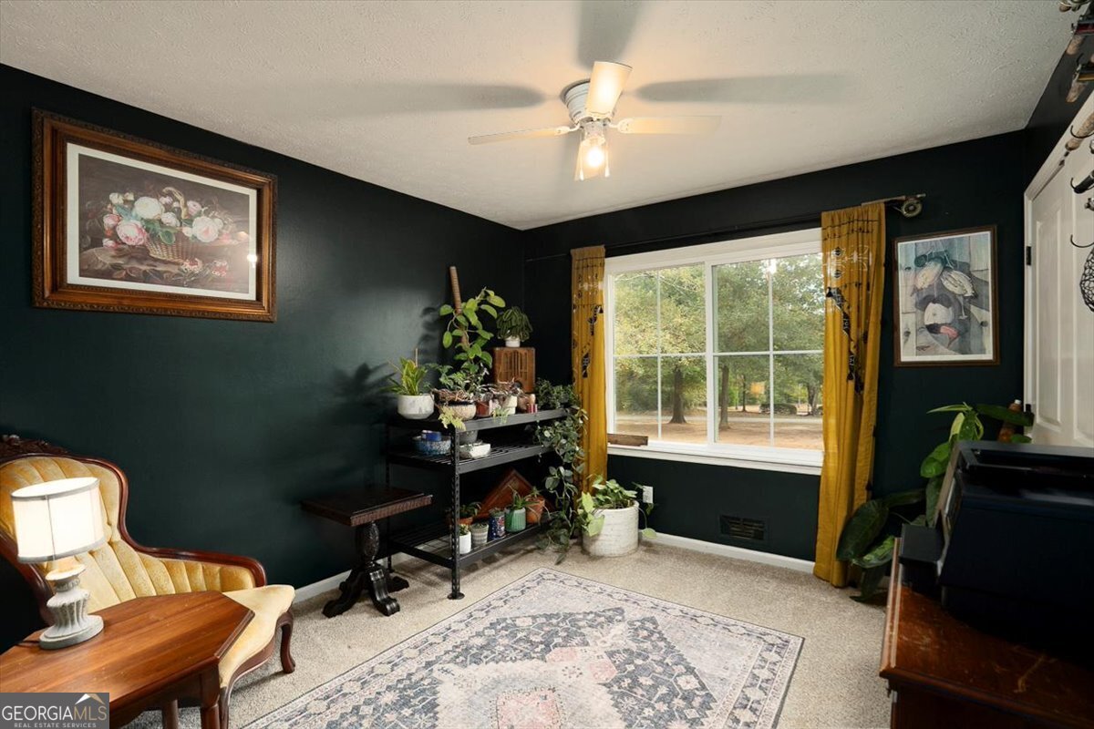 1091 Barber Creek Drive Watkinsville - Photo 14