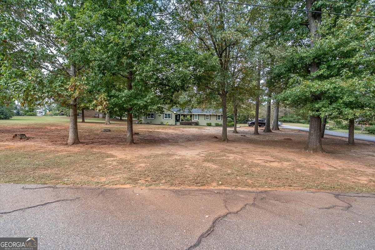 1091 Barber Creek Drive Watkinsville - Photo 41