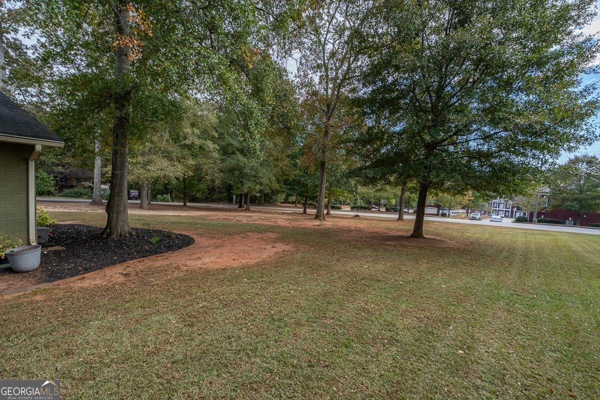 1091 Barber Creek Drive Watkinsville - Photo 47