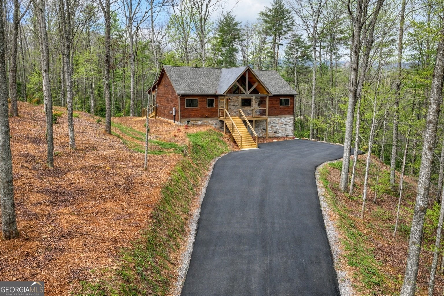 223 Bent Wood Lane Blue Ridge - Photo 1