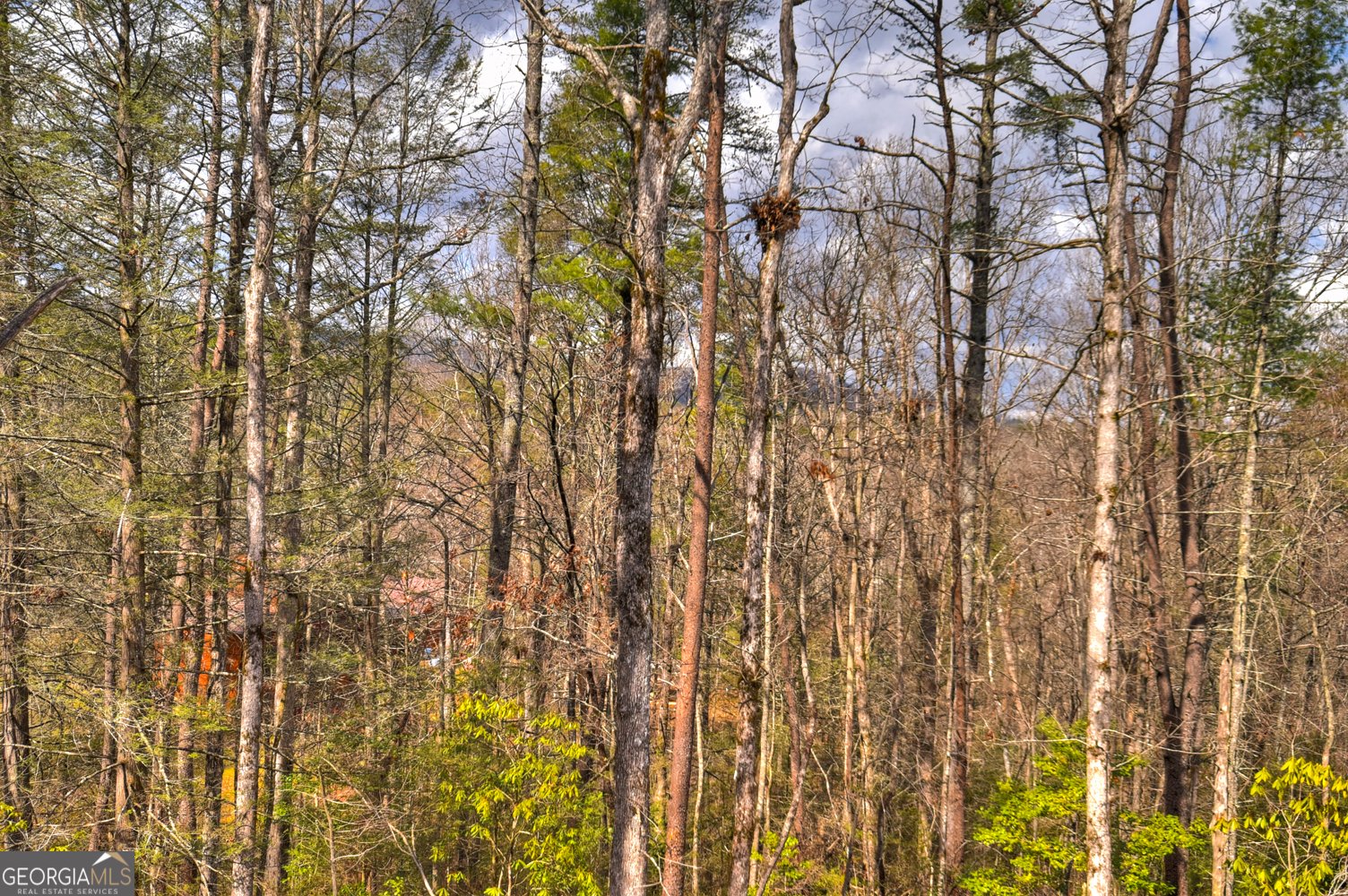 223 Bent Wood Lane Blue Ridge - Photo 14