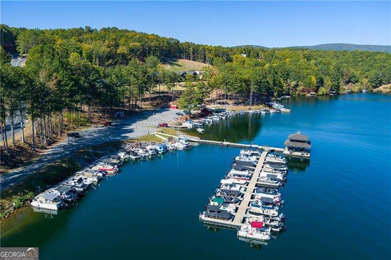 125 Wolverine Drive Waleska - Photo 39