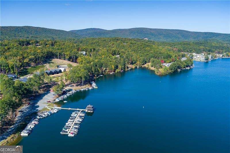 125 Wolverine Drive Waleska - Photo 40