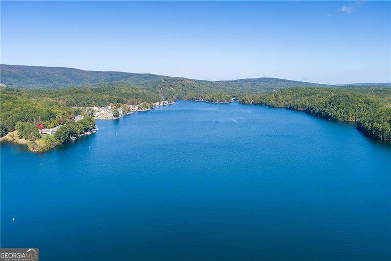 125 Wolverine Drive Waleska - Photo 41