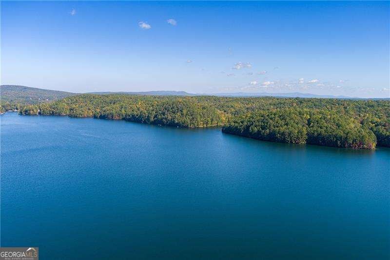 125 Wolverine Drive Waleska - Photo 42