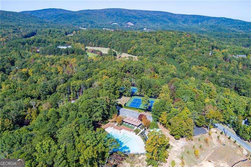 125 Wolverine Drive Waleska - Photo 46