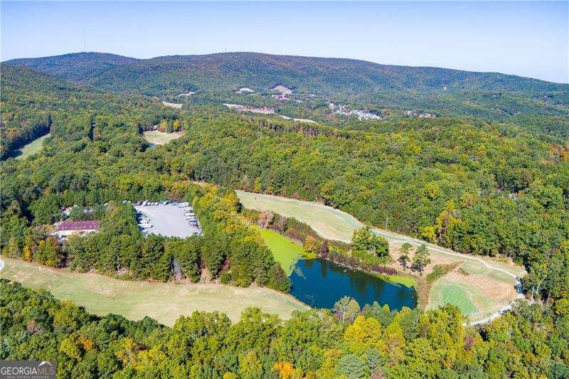 125 Wolverine Drive Waleska - Photo 47