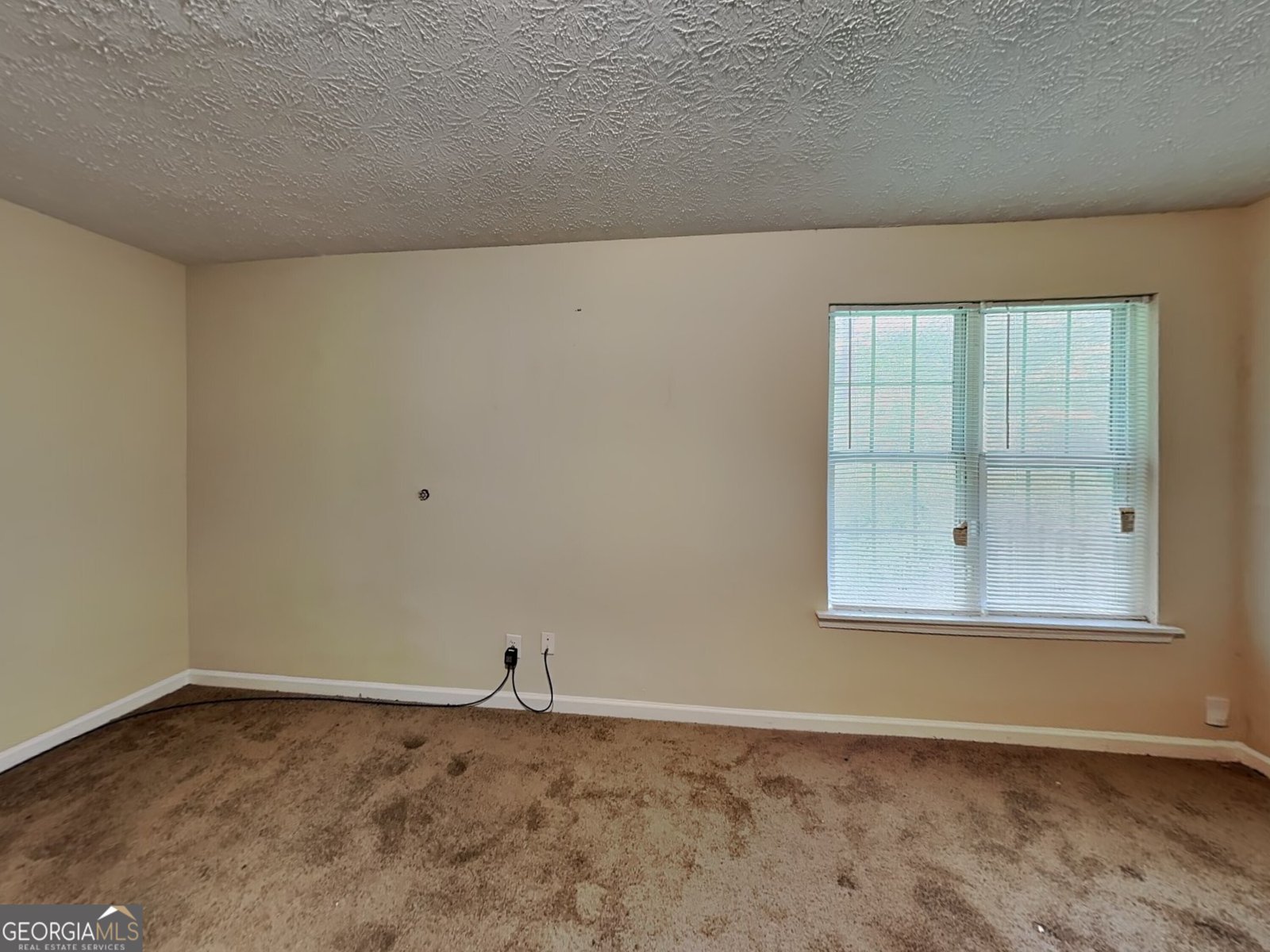 1278 Lynx Court Hampton - Photo 11
