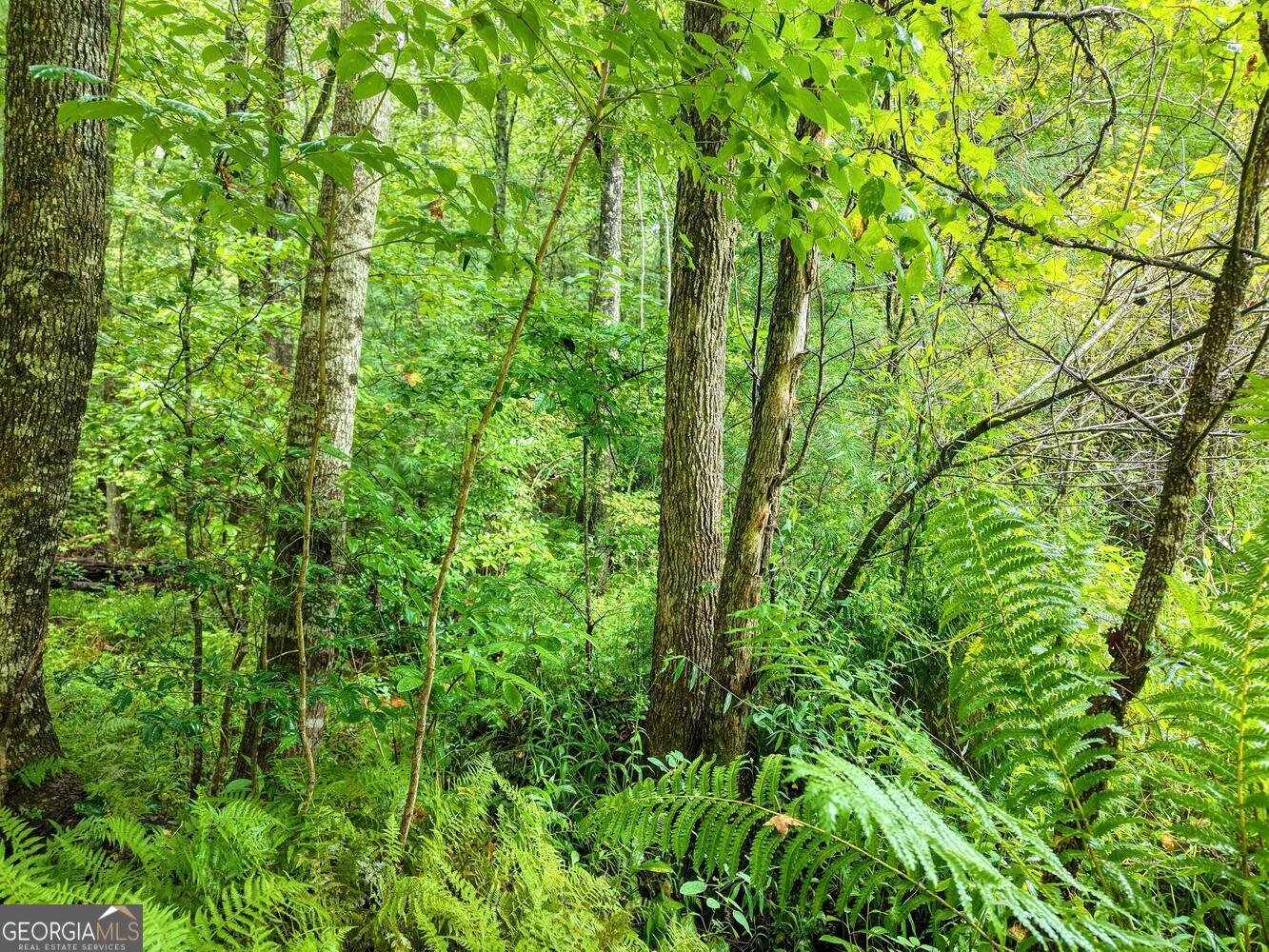 580 Emmaus Road Epworth - Photo 11