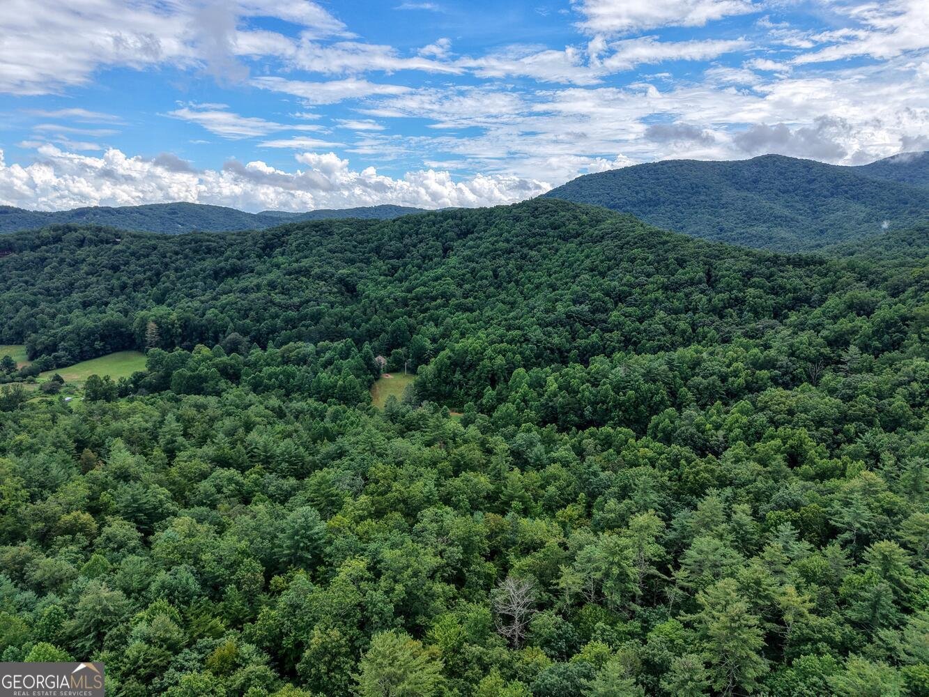 580 Emmaus Road Epworth - Photo 13