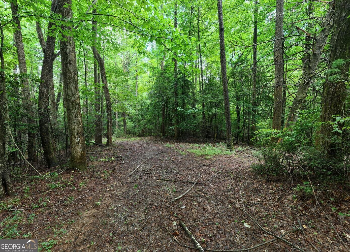 580 Emmaus Road Epworth - Photo 15