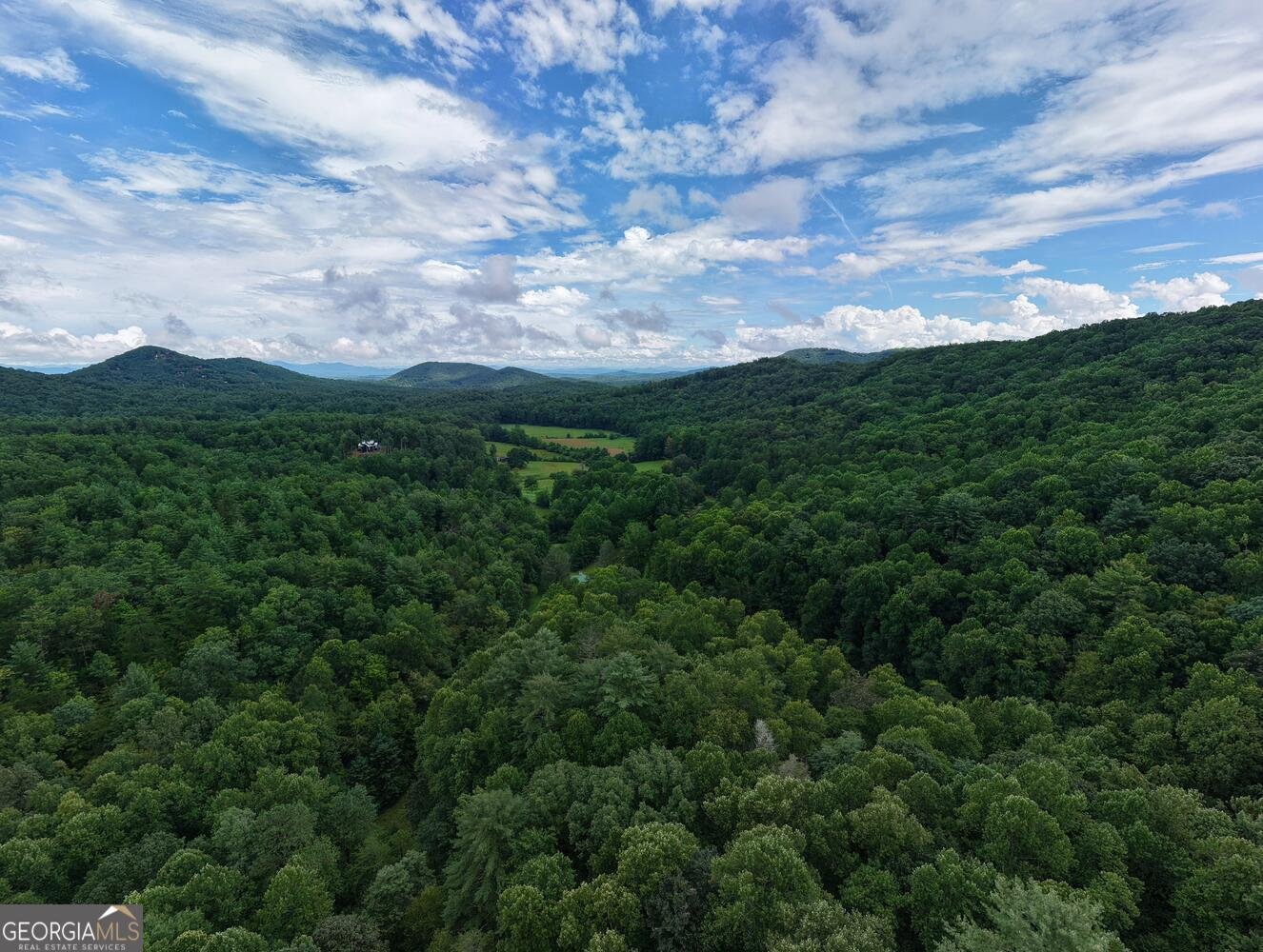 580 Emmaus Road Epworth - Photo 16