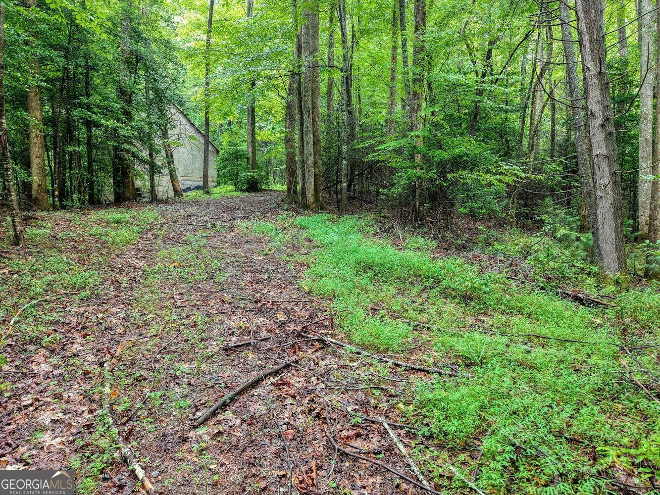 580 Emmaus Road Epworth - Photo 17