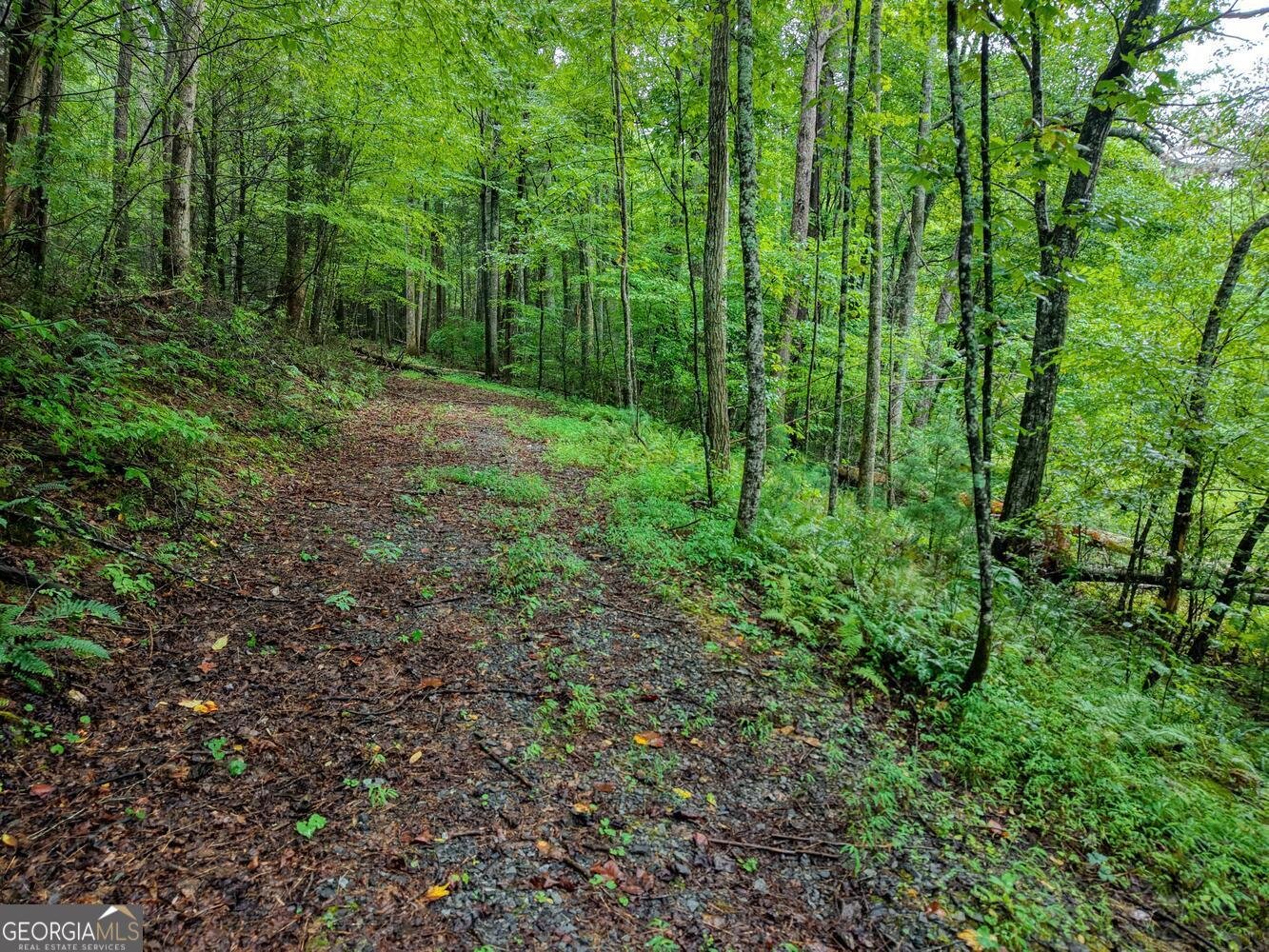 580 Emmaus Road Epworth - Photo 18