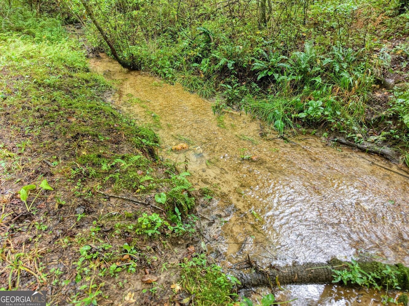 580 Emmaus Road Epworth - Photo 20