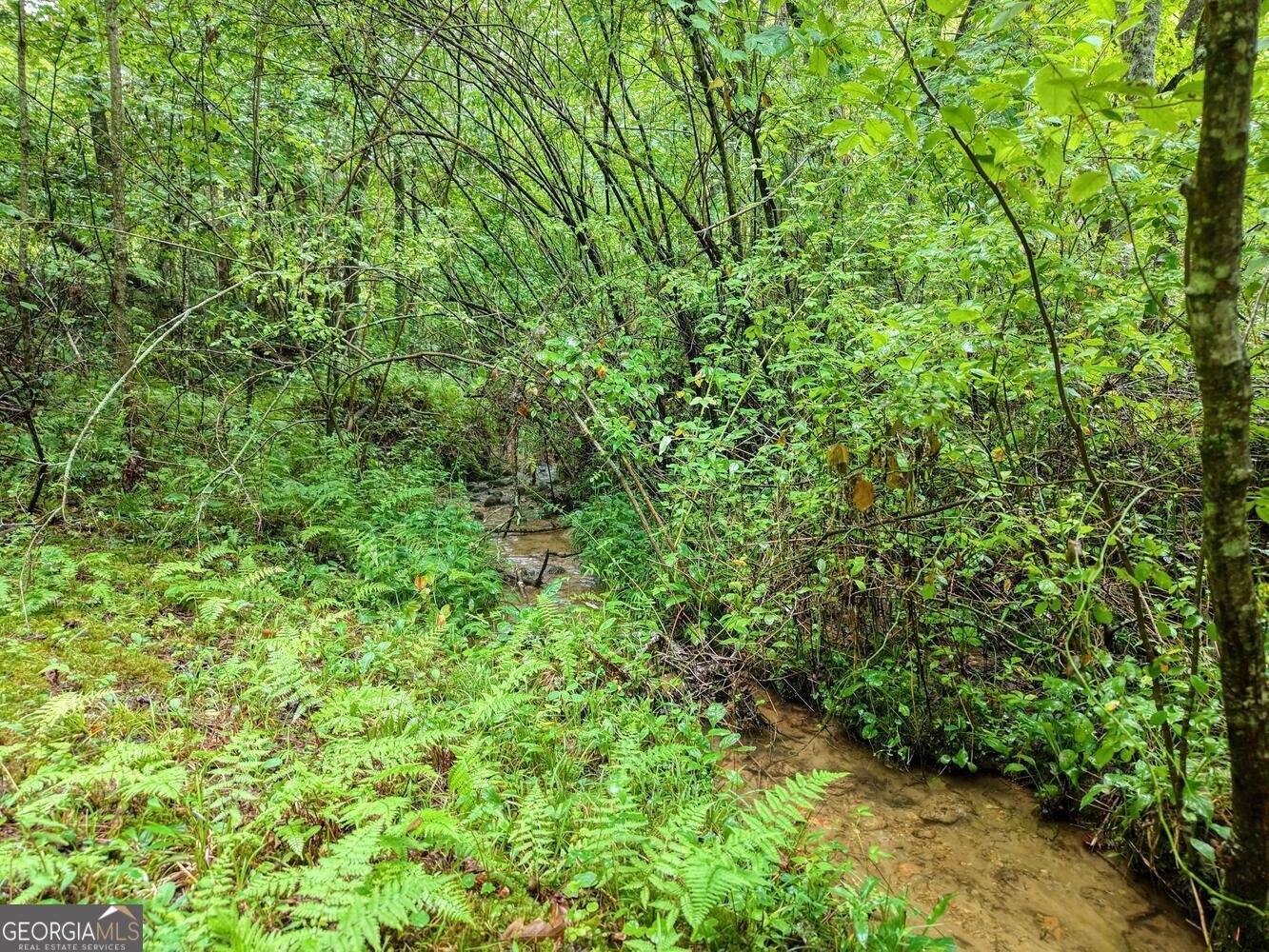 580 Emmaus Road Epworth - Photo 21