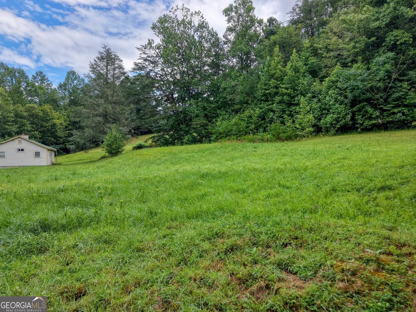 580 Emmaus Road Epworth - Photo 7