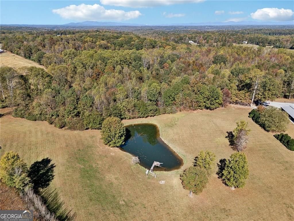 1892 Blacks Mill Road Dawsonville - Photo 87