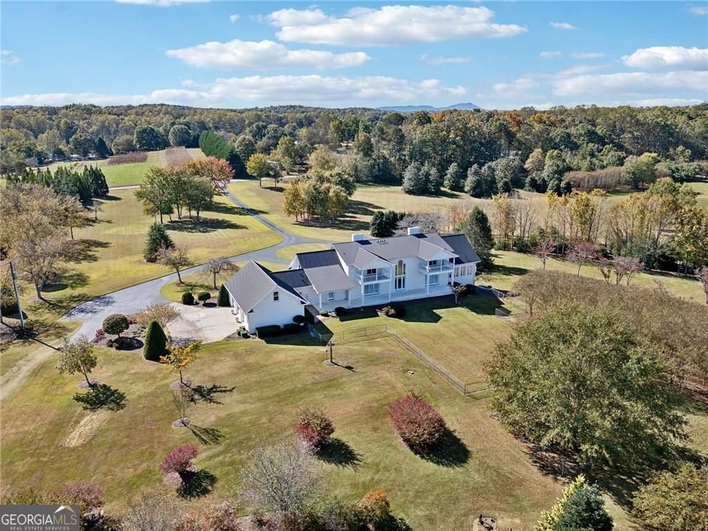 1892 Blacks Mill Road Dawsonville - Photo 89