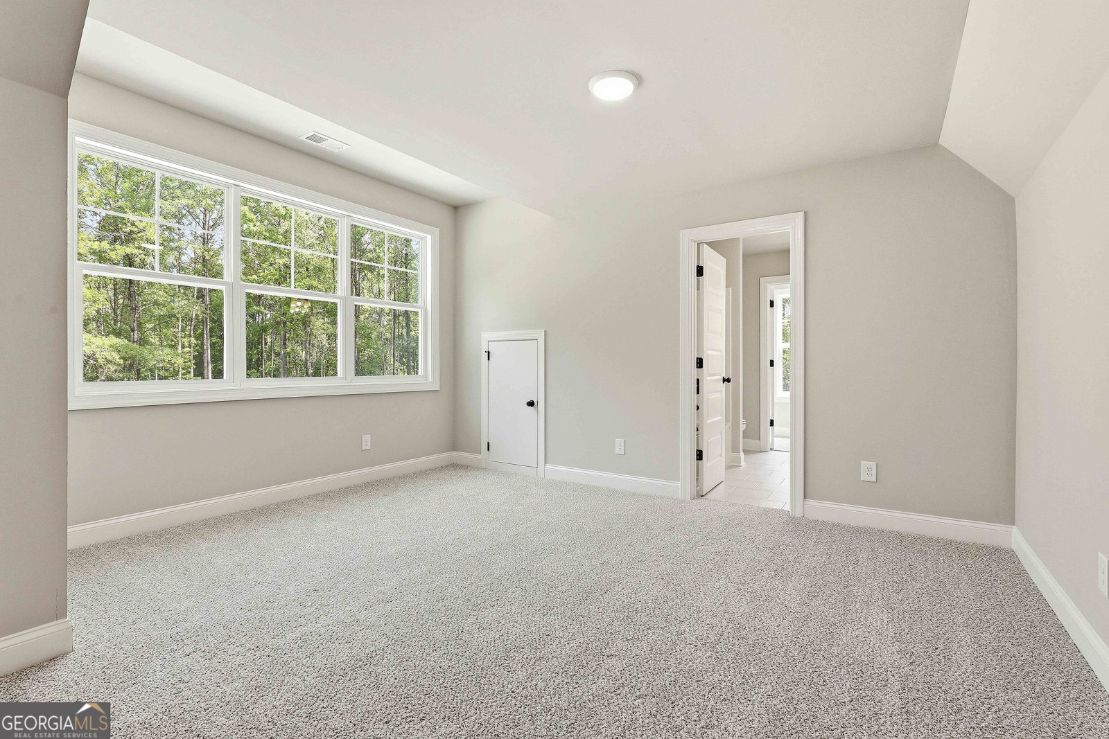 1253 MCINTOSH TRAIL.- LOT 7 Senoia - Photo 43