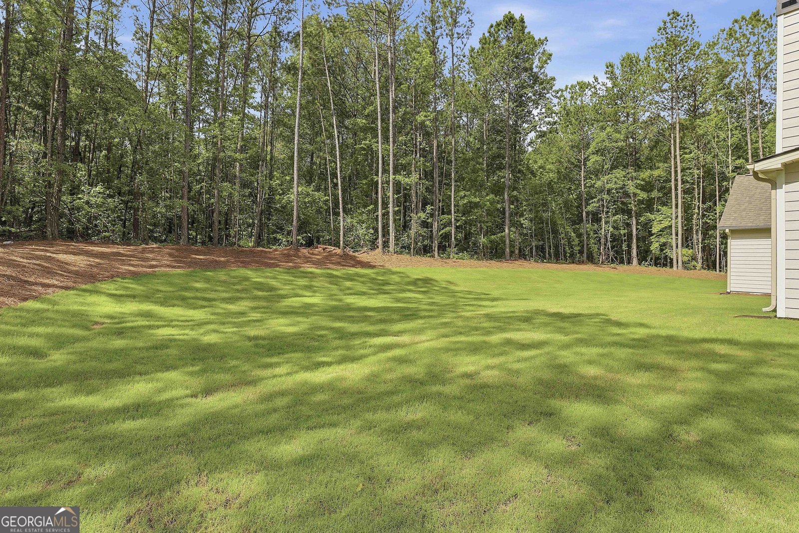 1253 MCINTOSH TRAIL.- LOT 7 Senoia - Photo 48