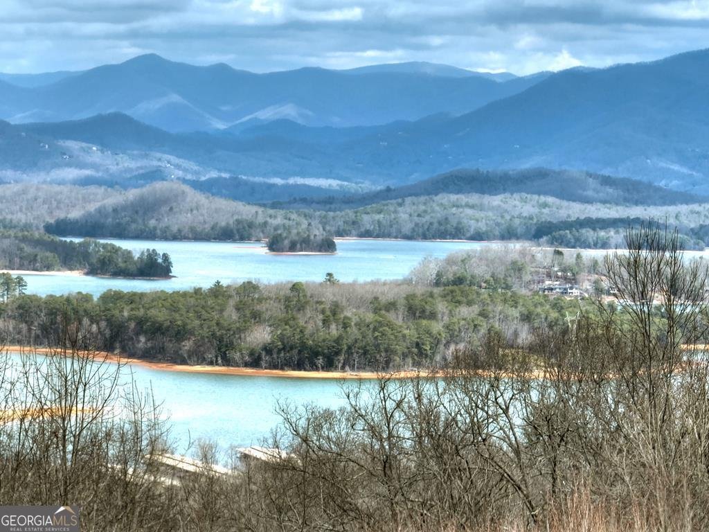 756 Mining Gap Conn Young Harris - Photo 1