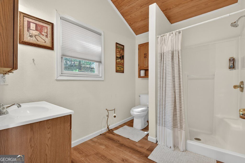 756 Mining Gap Conn Young Harris - Photo 43