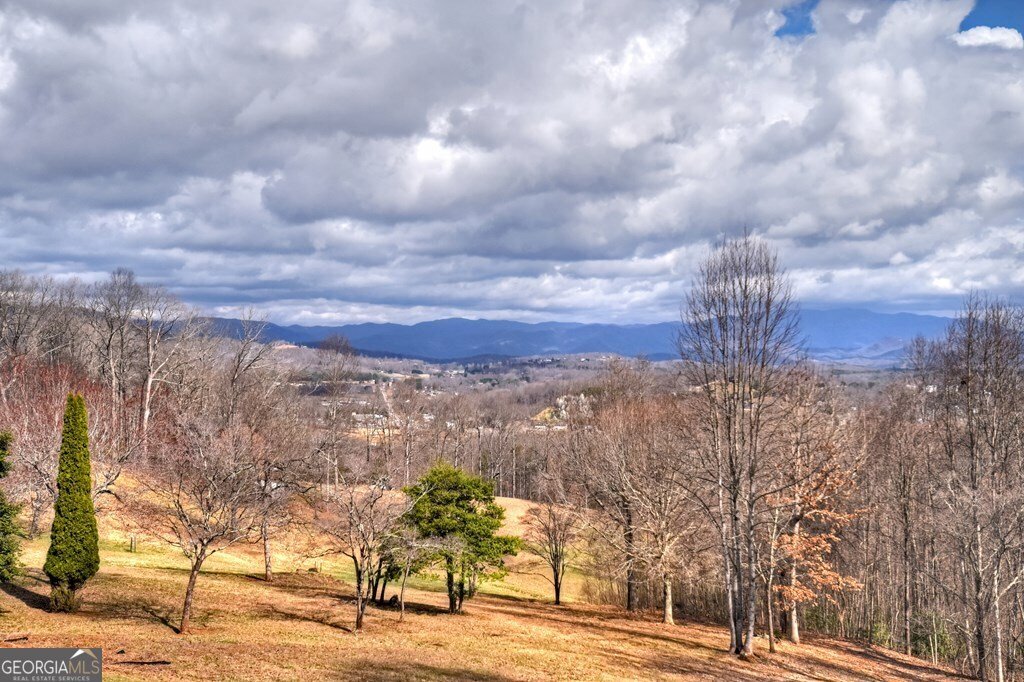 756 Mining Gap Conn Young Harris - Photo 45