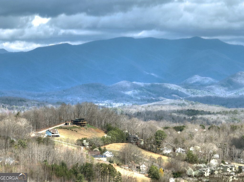 756 Mining Gap Conn Young Harris - Photo 46