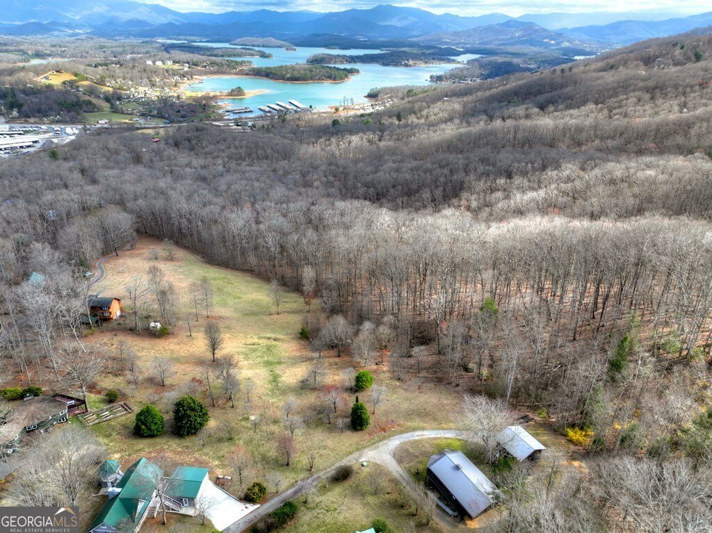 756 Mining Gap Conn Young Harris - Photo 47