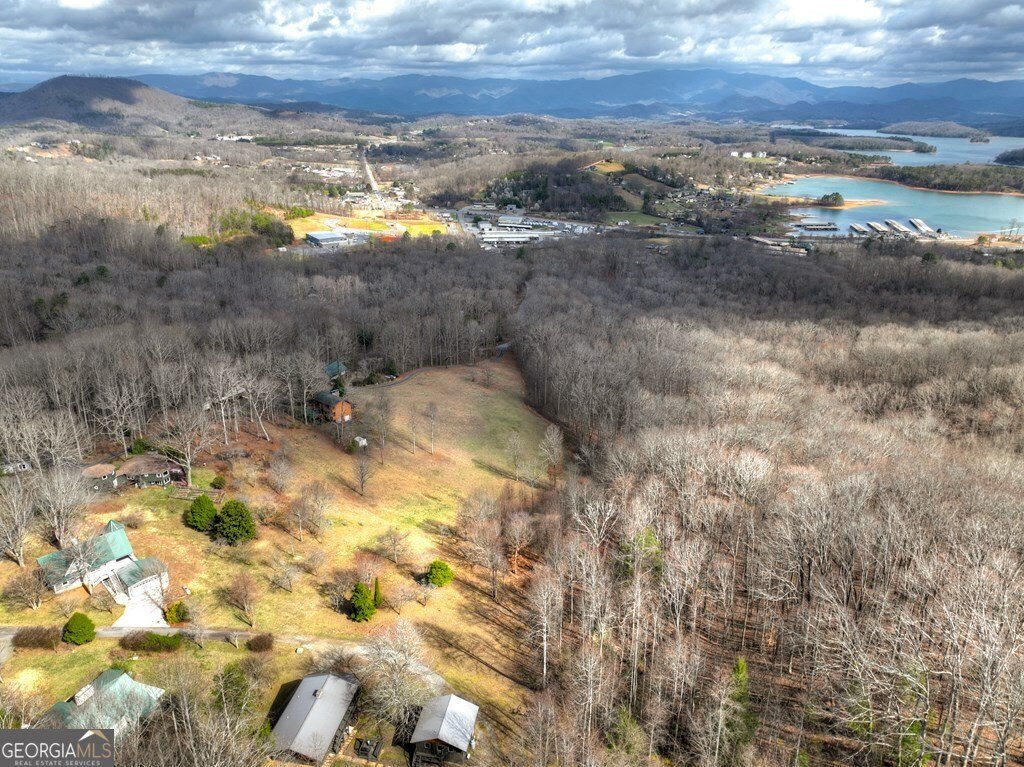 756 Mining Gap Conn Young Harris - Photo 48